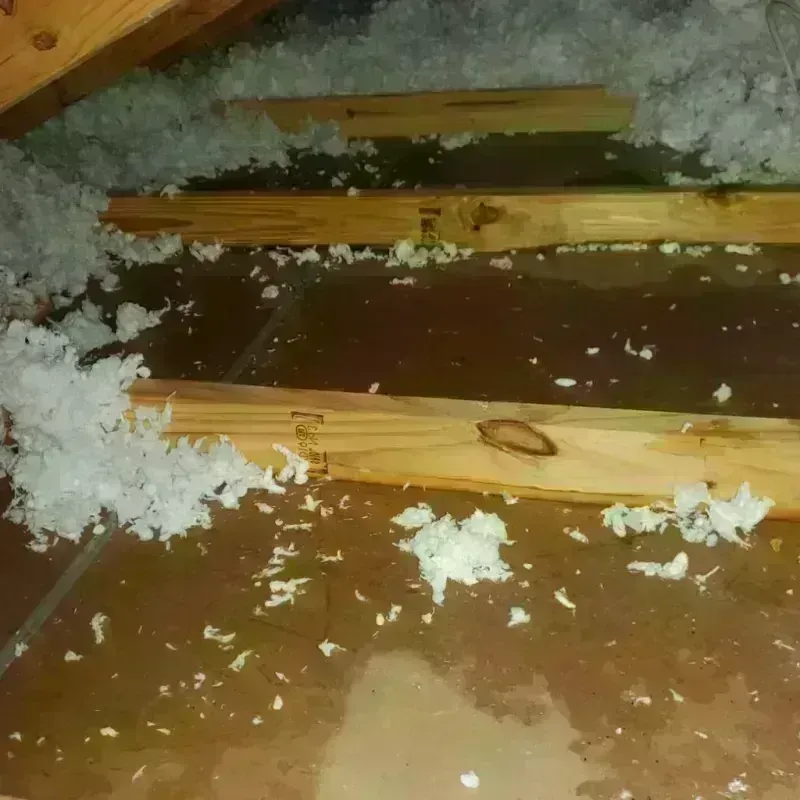 Attic Water Damage in Indian Springs, GA